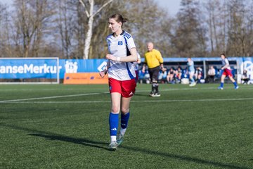 Bild 148 - F Hamburger SV 3 - Blau-Weiss 96 : Ergebnis: 5:1